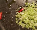焼きジャケと椎茸、三つ葉のパスタ☆ランチ作り方6写真
