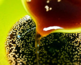 困った時の簡単☆冷やし中華のタレ作り方1写真