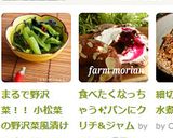 まるで野沢菜！！ 小松菜の野沢菜風漬け作り方10写真