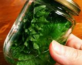 夏の必需品☆大葉の保存の仕方作り方1写真