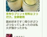手作りプリン＊材料は３つだけ。全卵使用作り方7写真