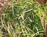 香味野菜のサラダ作り方1写真