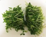 簡単！豆苗ときのこの中華風卵炒め作り方1写真