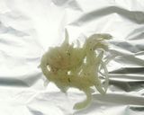 一手間かけた鮭のホイル焼 味噌マヨソース作り方6写真