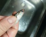 柑橘香るサクサクこいわし南蛮漬け作り方1写真