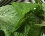 エゴマの葉の醤油漬け作り方2写真