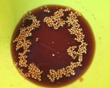 豆腐とひじきの和風ハンバーグ作り方6写真