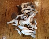 豆腐とひじきの和風ハンバーグ作り方13写真