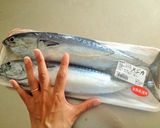 カツオの自家製シーチキン作り方1写真