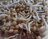 簡単！和食に蒟蒻 しめじ 筍のおかか煮♪作り方1写真