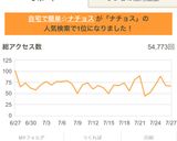 自宅で簡単☆ナチョス作り方8写真