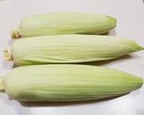 甘くて鮮やか❤とうもろこしの茹で方♪作り方1写真