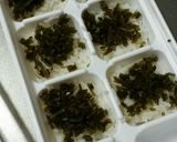 離乳食そうめん～かつおと昆布入り～作り方3写真