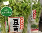 絶対シャキッと！豆苗オイスターソース炒め作り方1写真