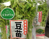 絶対シャキッと！豆苗オイスターソース炒め作り方1写真