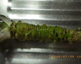 ワサビは冷凍で。作り方1写真
