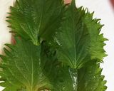 大葉とチーズ！ササミ包み作り方3写真