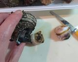 おもてなし☆おつまみ☆サザエのつぼ焼き★作り方6写真