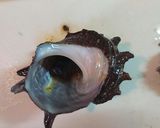 おもてなし☆おつまみ☆サザエのつぼ焼き★作り方10写真