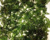 レンジで簡単♫にんじんの葉っぱふりかけ作り方3写真