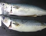 獲れたて新鮮な鯖で、しめさば。作り方2写真