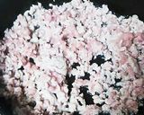 辛フルピーマンの炒めもの作り方2写真