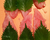 ささみの照り焼き♪大葉と桜大根巻き作り方2写真
