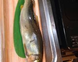 鮎の塩焼き作り方1写真