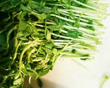 豆苗のピリ辛ニンニク炒め作り方1写真