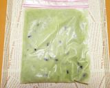 もみもみ♪甘納豆抹茶ミルク☆シャーベット作り方3写真