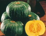 かぼちゃとしめじのお手軽シチューグラタン作り方1写真