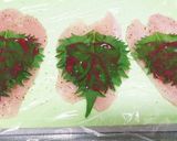 おばけきゅうりの梅しそササミ巻き作り方2写真