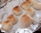 超簡単☆焼きマシュマロ作り方4写真