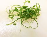 牛タンの赤ワイン煮込み作り方11写真
