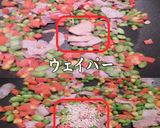 美味ドレのパラペーニョでピリ辛!炒飯作ろ作り方3写真