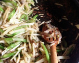 薬膳★まいたけとじゃがいもの千切り炒め作り方5写真