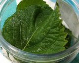 大葉の醤油漬け作り方1写真