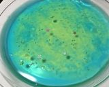簡単♪海色グラデーションゼリーのケーキ作り方11写真