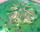 簡単♪海色グラデーションゼリーのケーキ作り方12写真