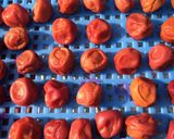 初めての梅干し（昨年小梅で梅デビュー）作り方13写真