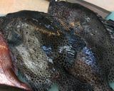 石垣鯛の姿造り作り方1写真