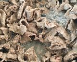 柔らかおいしい！牛肉のしょうが焼き♡作り方1写真