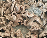 柔らかおいしい！牛肉のしょうが焼き♡作り方1写真