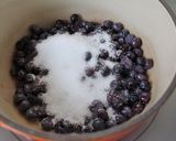 サワードリンクの実でブルーベリーソース作り方1写真