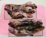 フードドライヤーでガシラ煮干し（カサゴ）作り方6写真