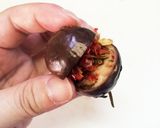 茄子のアサディージョ漬け作り方29写真