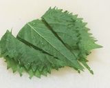 本格 旬野菜♪ 山形のだし作り方8写真