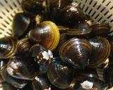 大きなシジミのお吸い物(•ө•)♡作り方1写真