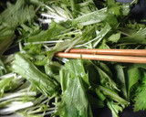簡単5分！サクサク油揚げと水菜ごま油炒め作り方4写真