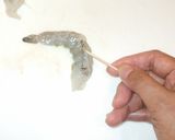エビチリ♪エビチリソース炒め♪簡単手作り作り方4写真